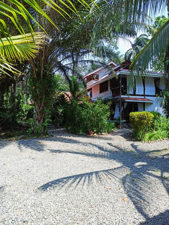 Chilamate Holiday House Puerto Viejo de Talamanca Dış mekan fotoğraf