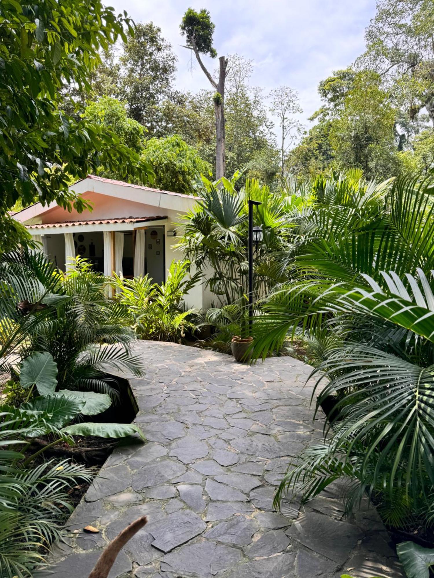 Chilamate Holiday House Puerto Viejo de Talamanca Dış mekan fotoğraf