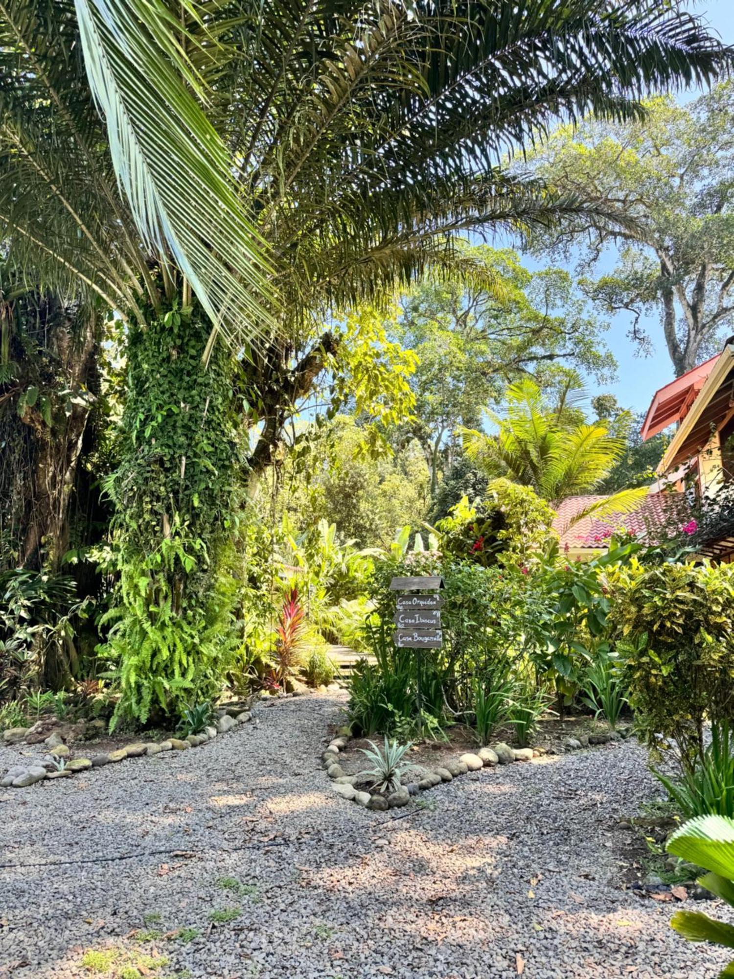 Chilamate Holiday House Puerto Viejo de Talamanca Dış mekan fotoğraf